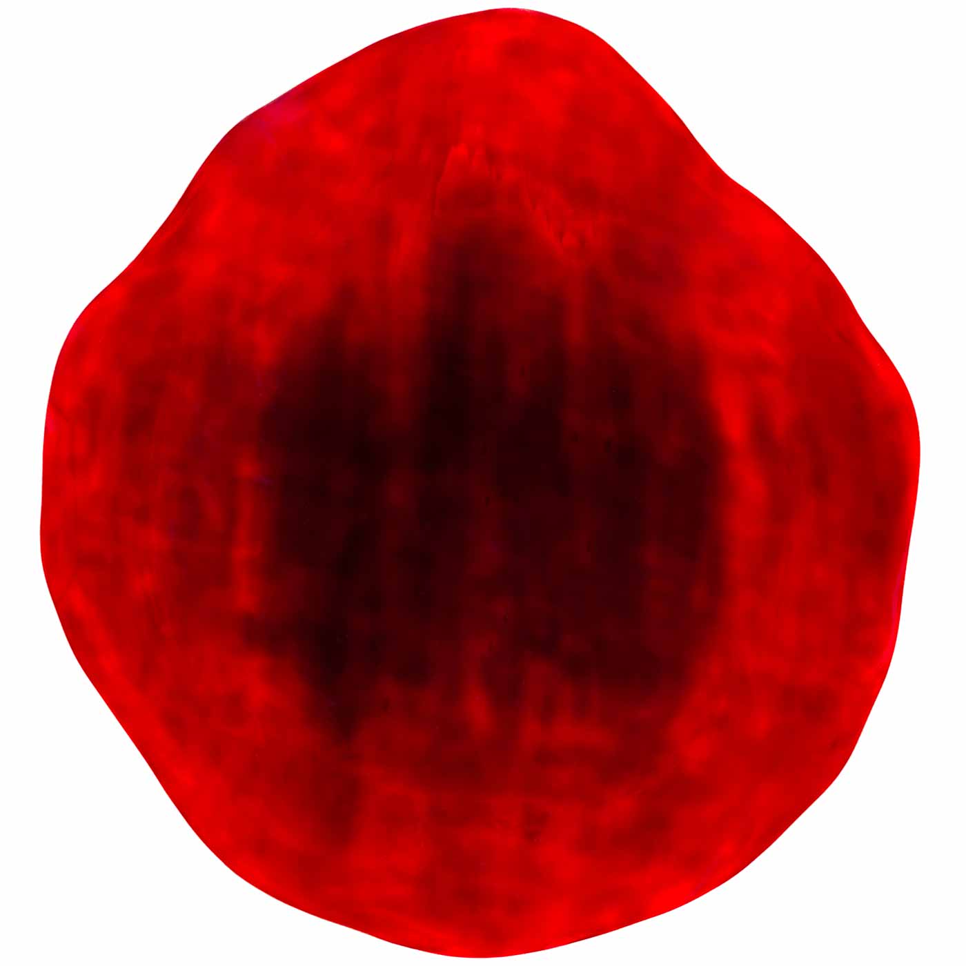 Formation de couleur laminée