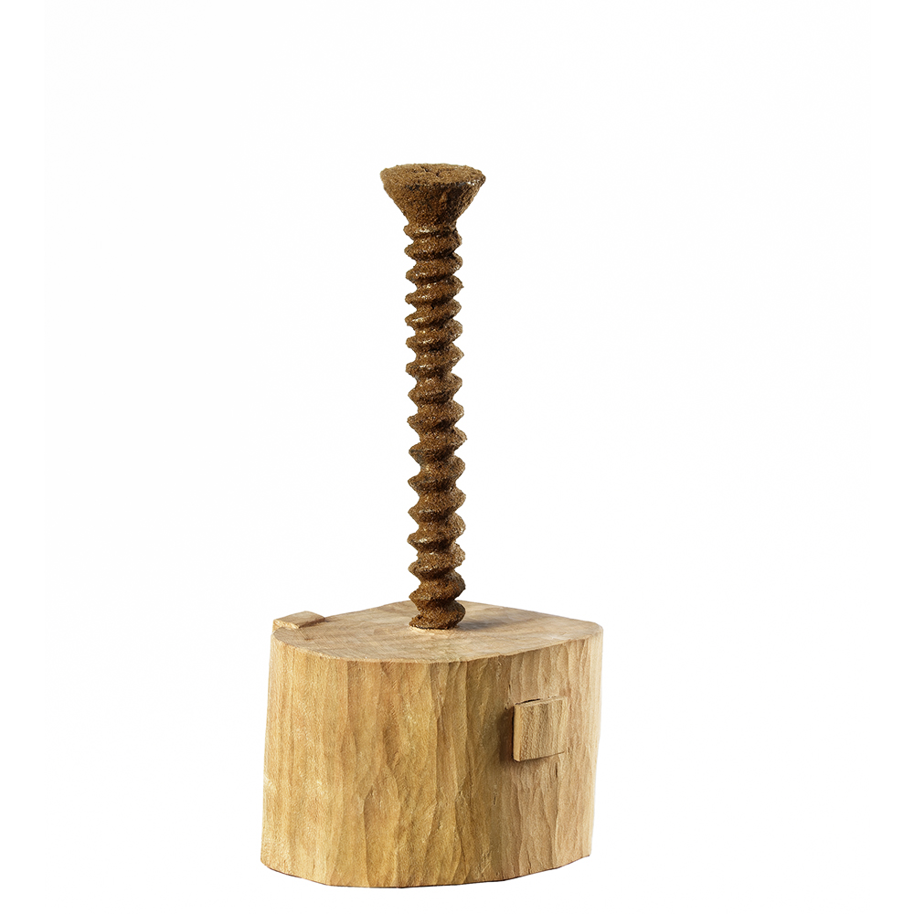 Screw